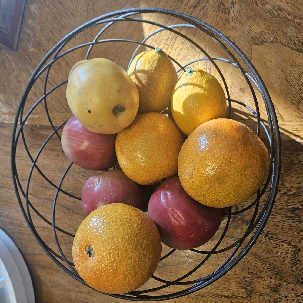 Elegant Black Wire Fruit Basket